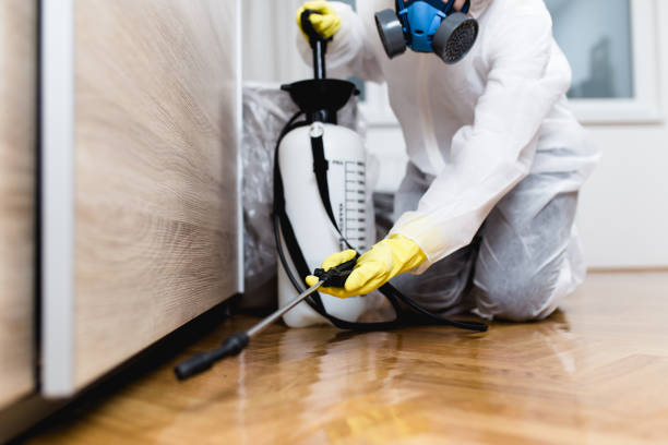 Best Best Pest Control Companies  in Village Green, NY