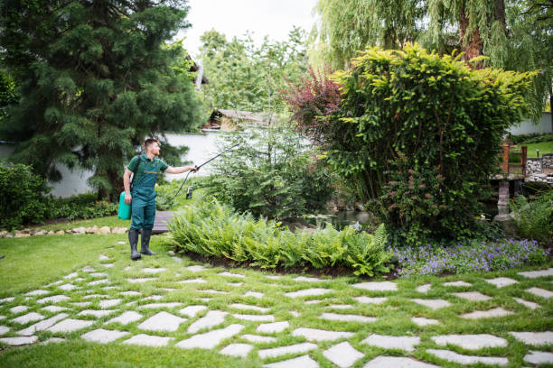 Best Best Pest Control Companies  in Village Green, NY