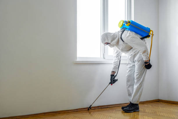 Best Pest Prevention Services  in Village Green, NY