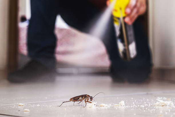 Best Commercial Pest Control Services  in Village Green, NY